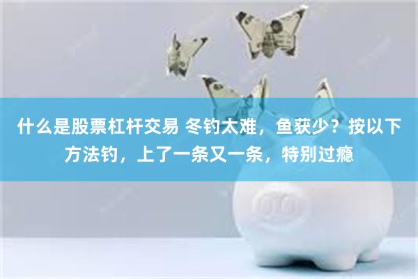 什么是股票杠杆交易 冬钓太难，鱼获少？按以下方法钓，上了一条又一条，特别过瘾