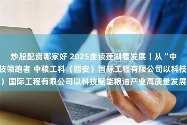 炒股配资哪家好 2025走读莲湖看发展丨从“中国饭碗”守护者到粮油科技领跑者 中粮工科（西安）国际工程有限公司以科技赋能粮油产业高质量发展