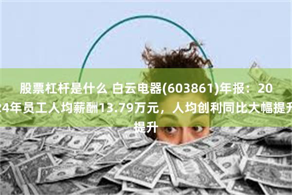 股票杠杆是什么 白云电器(603861)年报：2024年员工人均薪酬13.79万元，人均创利同比大幅提升