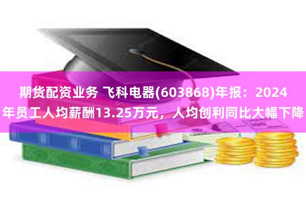 期货配资业务 飞科电器(603868)年报：2024年员工人均薪酬13.25万元，人均创利同比大幅下降