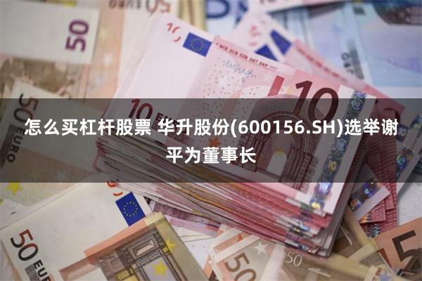 怎么买杠杆股票 华升股份(600156.SH)选举谢平为董事长