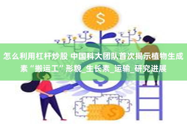 怎么利用杠杆炒股 中国科大团队首次揭示植物生成素“搬运工”形貌_生长素_运输_研究进展