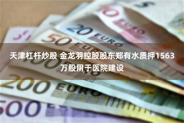 天津杠杆炒股 金龙羽控股股东郑有水质押1563万股用于医院建设