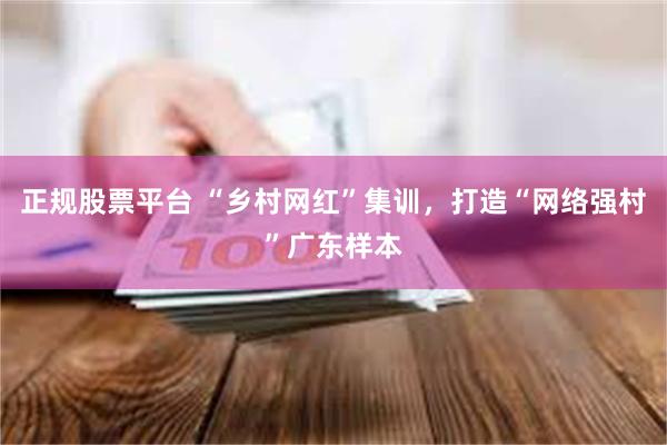 正规股票平台 “乡村网红”集训，打造“网络强村”广东样本