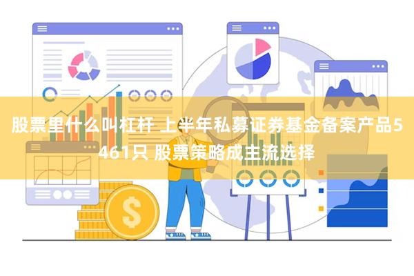 股票里什么叫杠杆 上半年私募证券基金备案产品5461只 股票策略成主流选择