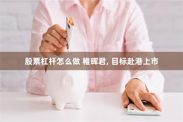 股票杠杆怎么做 稚晖君, 目标赴港上市