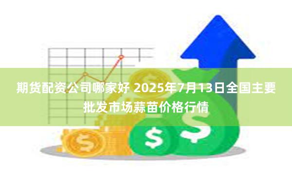 期货配资公司哪家好 2025年7月13日全国主要批发市场蒜苗价格行情