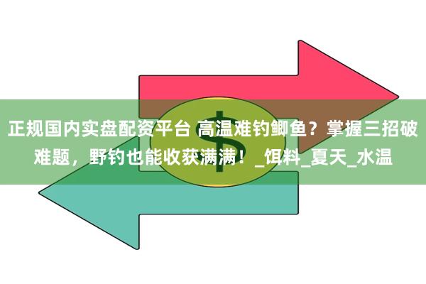 正规国内实盘配资平台 高温难钓鲫鱼？掌握三招破难题，野钓也能收获满满！_饵料_夏天_水温