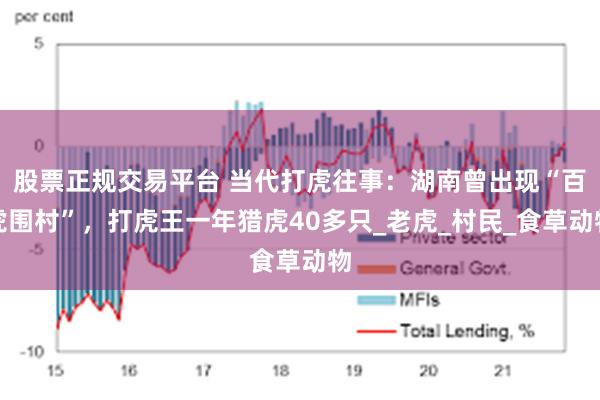 股票正规交易平台 当代打虎往事：湖南曾出现“百虎围村”，打虎王一年猎虎40多只_老虎_村民_食草动物