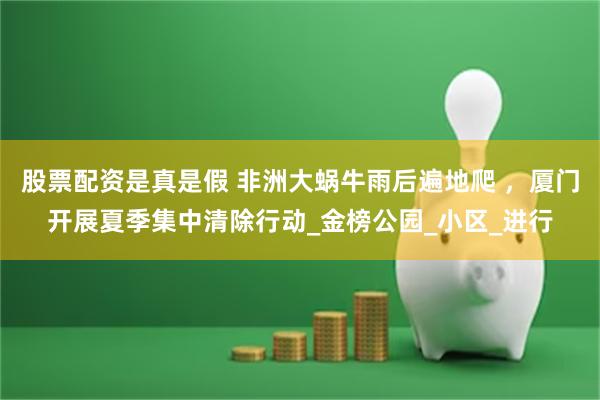 股票配资是真是假 非洲大蜗牛雨后遍地爬 ，厦门开展夏季集中清除行动_金榜公园_小区_进行