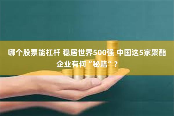 哪个股票能杠杆 稳居世界500强 中国这5家聚酯企业有何“秘籍”？