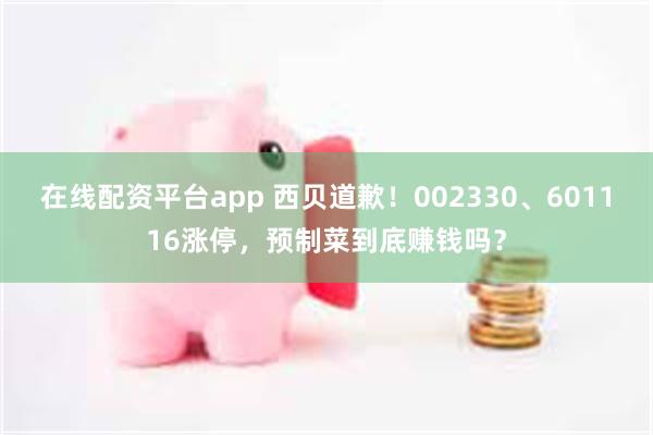 在线配资平台app 西贝道歉！002330、601116涨停，预制菜到底赚钱吗？